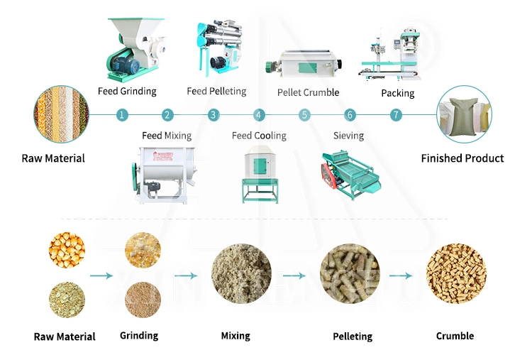 Customization Complete Animal Feed Pellet Machine Fish Food Processing Line