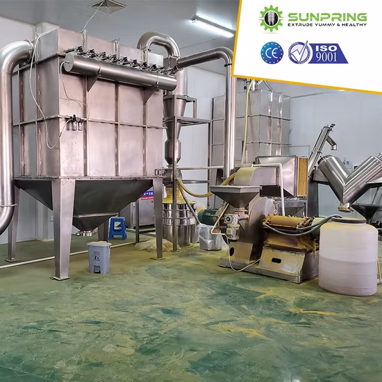 Modified Starch Processing Machine