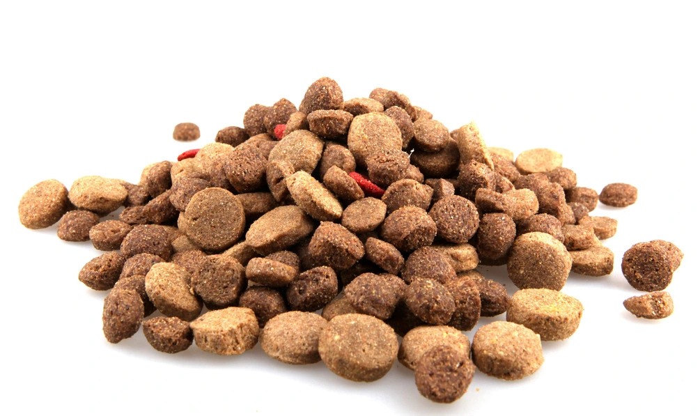 Dry Dog Food Pet Snack Dog Treats Chews Gum Processing Production Machine Line