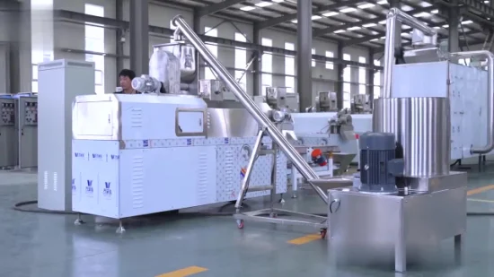 Rice Making Machine Artificial Fortified Rice Grains Cereal Rice Twin Screw Extruder Production Line