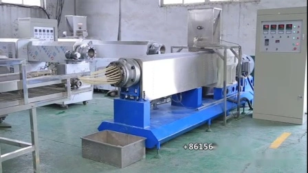 Fried Extruded Pasta Macaroni 2D 3D Snack Pellet Production Line