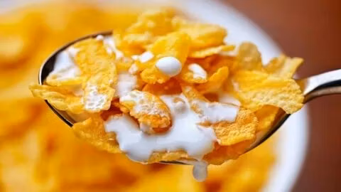 Baked Crispy Corn Flakes Extruder Cereals Extrusion Machine Processing Line