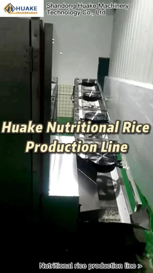 Artificial Fortified Rice Making Plant Nutrition Rice Making Machine Extruder Production Line