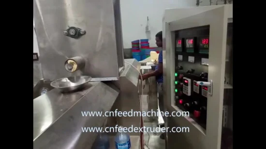 Fried Puffed Food Machinery Commercial Fried Food Machine