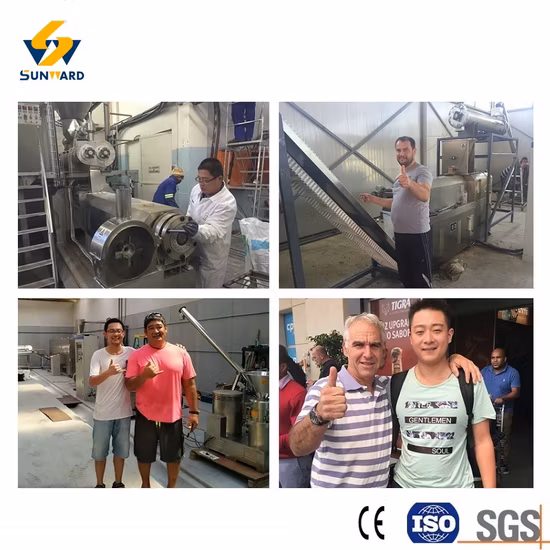 China Manufacturer Pet Food Fish Feed Processing Line