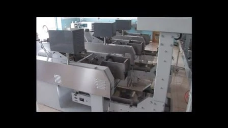 Automatic Noodle Packing Machine for Long Pasta and Spaghetti
