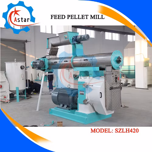 1-20t/H Stainless Steel Chicken Livestock Cattle Pig Fish Poultry Feed Pellet Making Machine Fish Food Processing Line